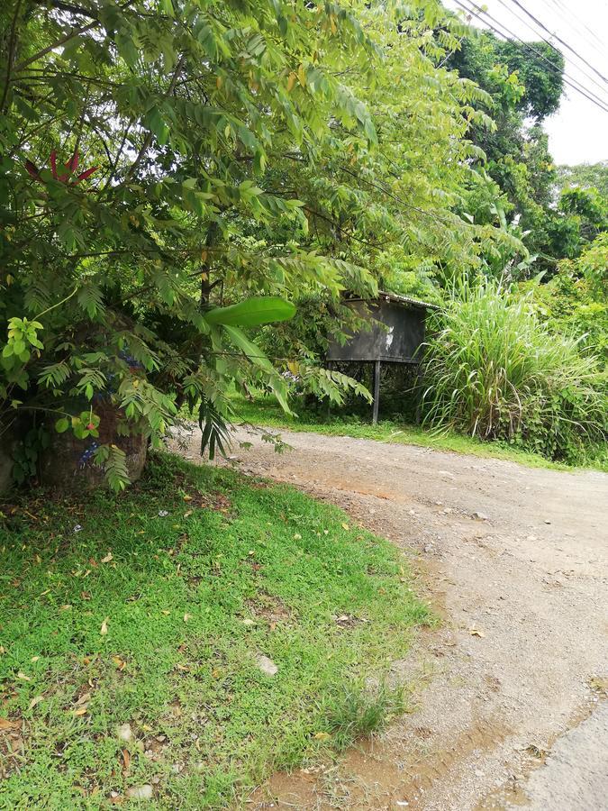 Hospedaje El Bosquecito Увита Экстерьер фото