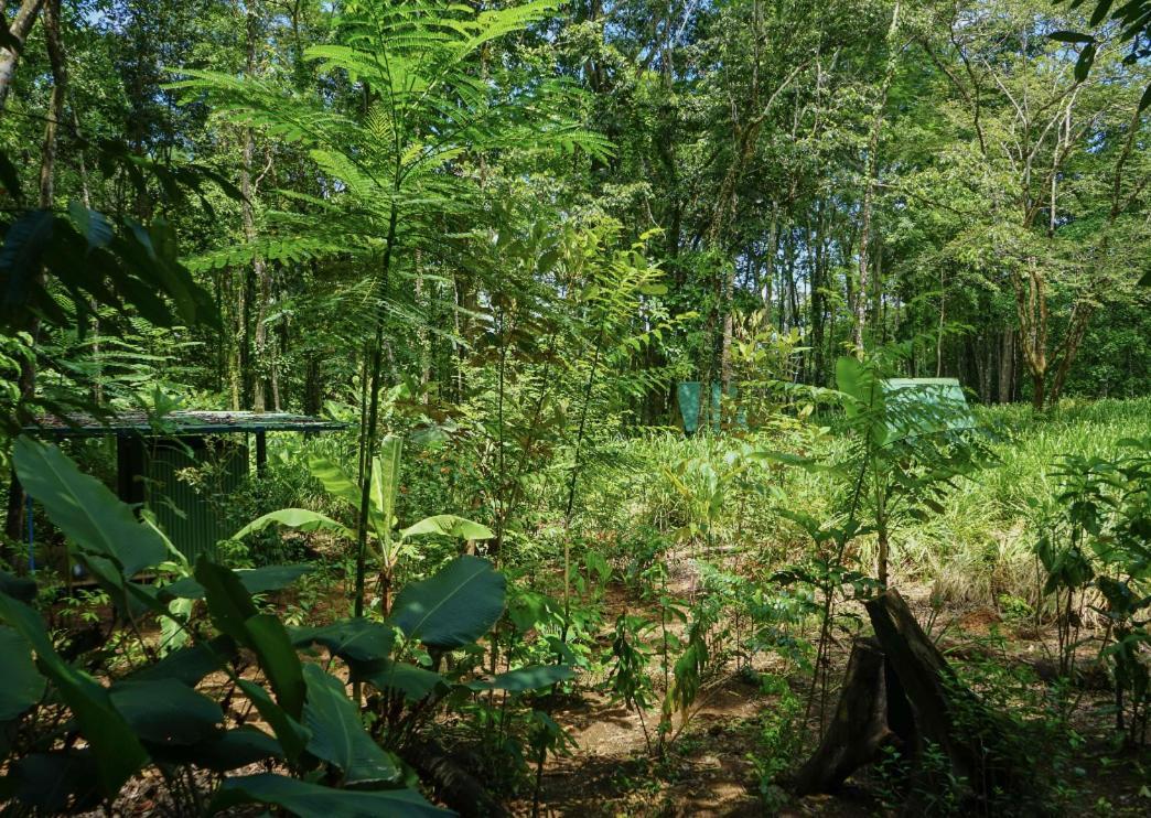 Hospedaje El Bosquecito Увита Экстерьер фото