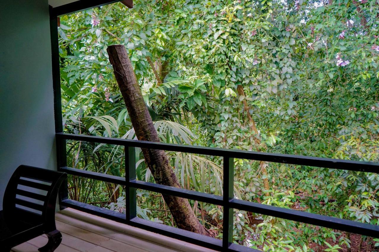 Hospedaje El Bosquecito Увита Экстерьер фото